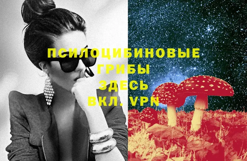 Галлюциногенные грибы Cubensis  где продают наркотики  Барабинск 